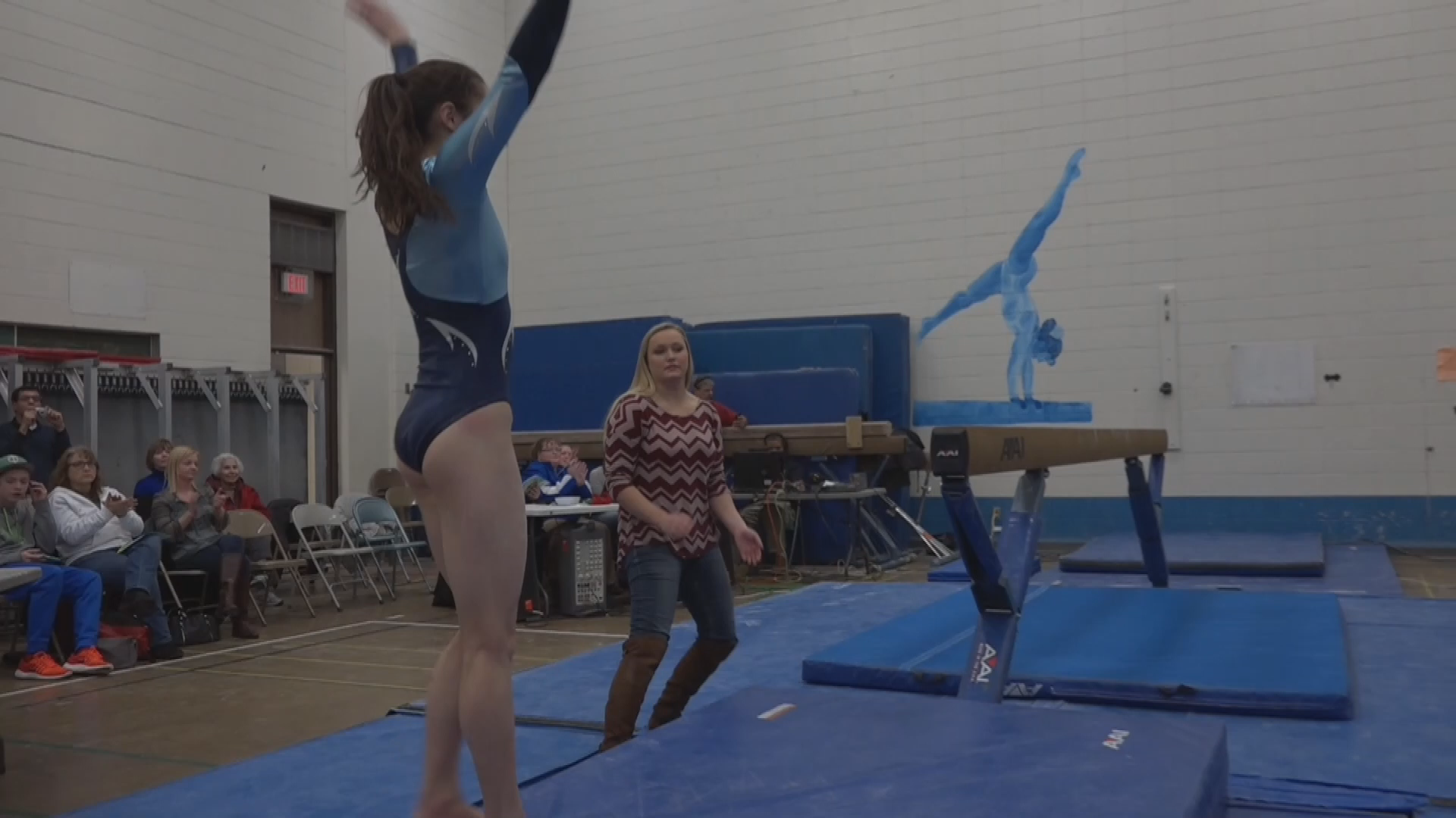 Gymnastics: Edina at Jefferson