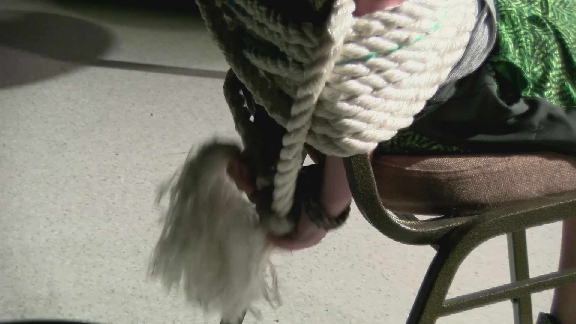 Short: Teen Video Boot Camp - June 2018 - "CATastrophe"