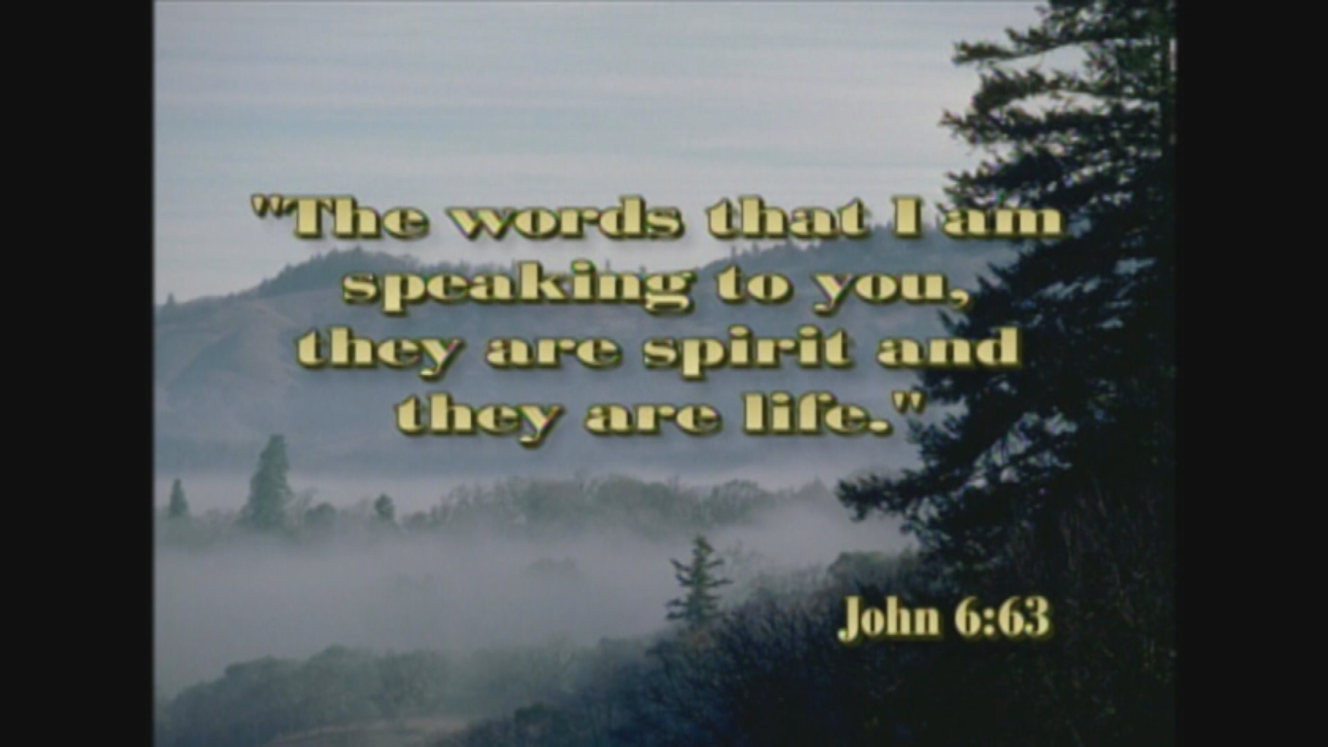 God's Word Brings Our Healing #368