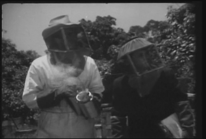 Saturday Fright Special SFS057: The Wasp Woman