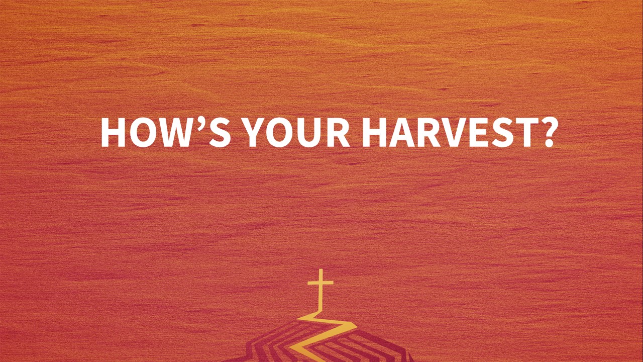 The Father's House - Holiness: HOW'S YOUR HARVEST