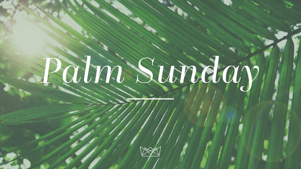 The Father's House - RELIGIOUS OR REAL (PALM SUNDAY)