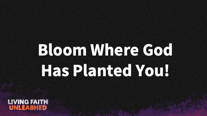 The Father's House - BLOOM WHERE GOD HAS PLANTED YOU