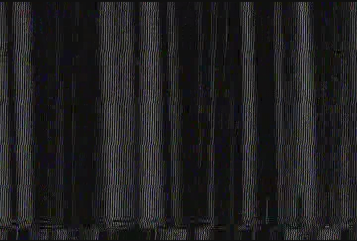 (2005) Hillcrest Gr. 2 (Amy W.): Rabbit & Tiger 2005